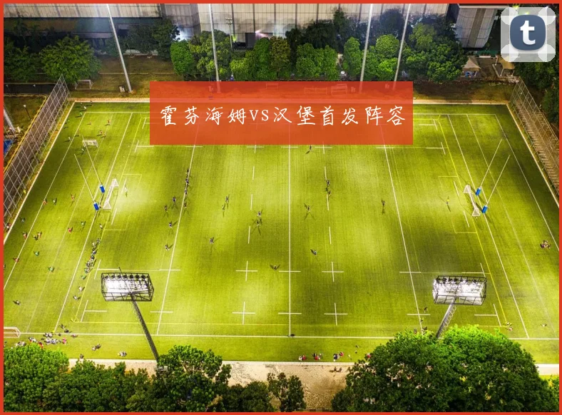 霍芬海姆vs汉堡首发阵容