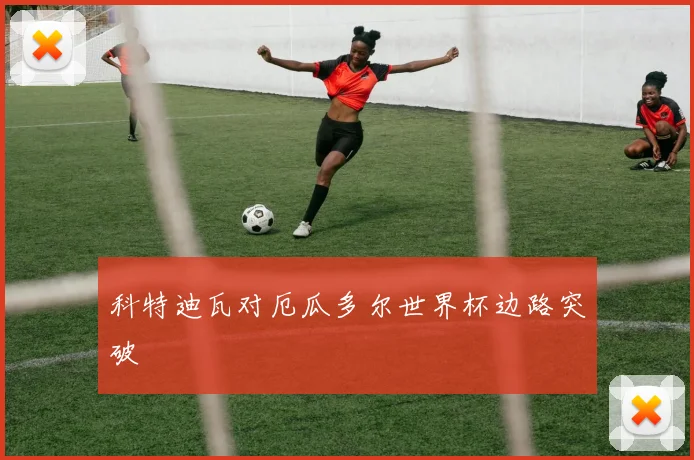 科特迪瓦对厄瓜多尔世界杯边路突破