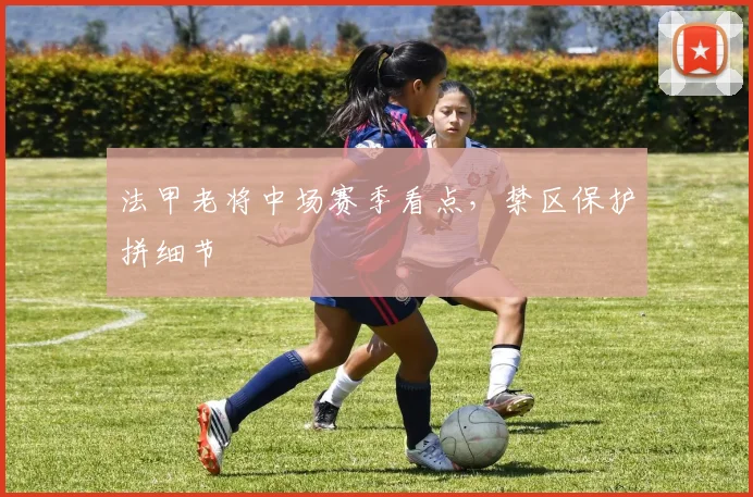 法甲老将中场赛季看点，禁区保护拼细节