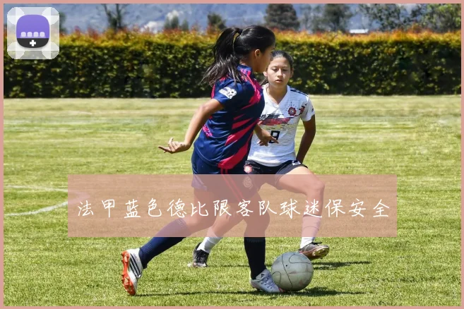 法甲蓝色德比限客队球迷保安全