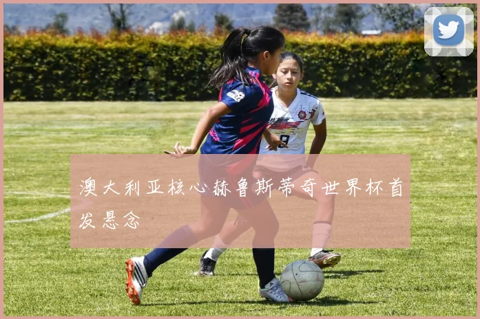 澳大利亚核心赫鲁斯蒂奇世界杯首发悬念