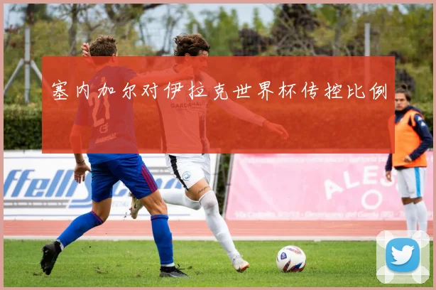 塞内加尔对伊拉克世界杯传控比例